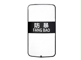 加強型盾牌